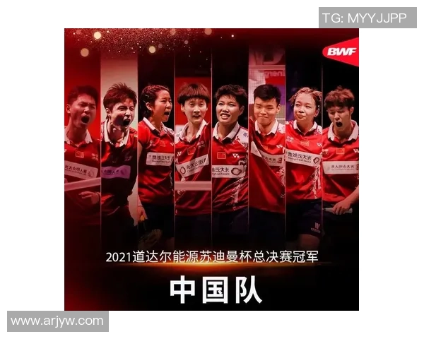 赛后分析：北京羽毛球队与南京羽毛球队的默契配合与战术探讨