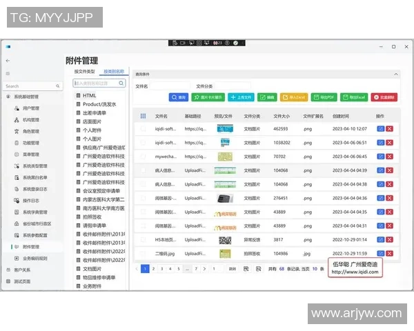 重庆排球队快攻战术解析与实战应用研究