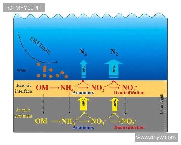 赛后分析：广州篮球队与武汉篮球队在比赛中速度对比的深度探讨