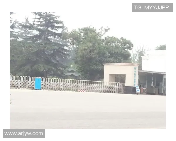 西安羽毛球队的控制革新探索与实践：推动竞技水平提升的新路径